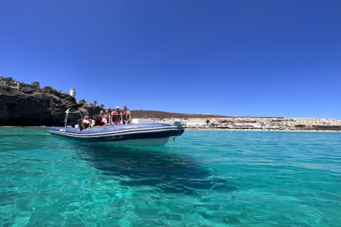 Fuerteventura : Delfin-Erlebnis mit dem ZodiacFuerteventura: Delphin-Erlebnis
