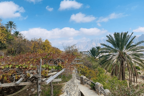 Giornata intera a Wadi Abyadh-Villaggio Wekan-Forte di Nakhal-Primavera calda