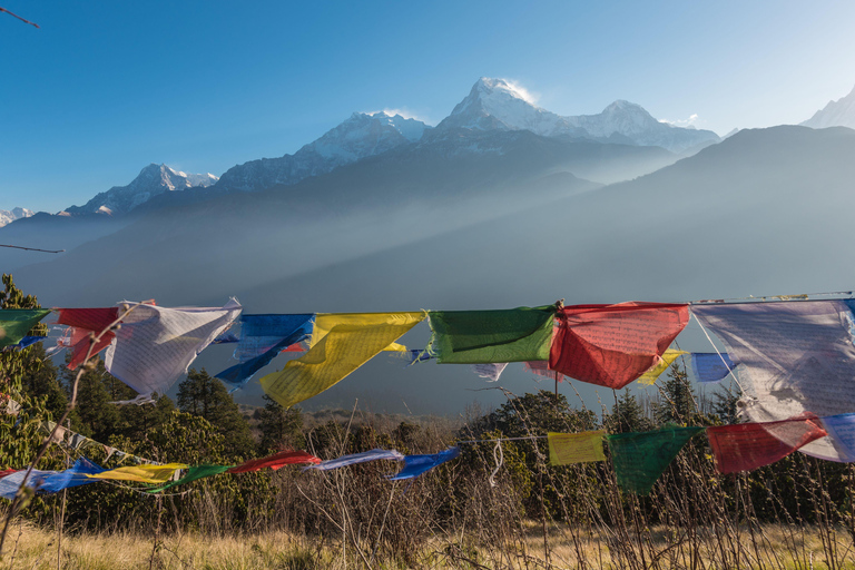 Pokhara: 3-Day Ghorepani and Poon Hill Sunrise Himalaya Trek Private Trek Tour with Meals Included (Full Package)