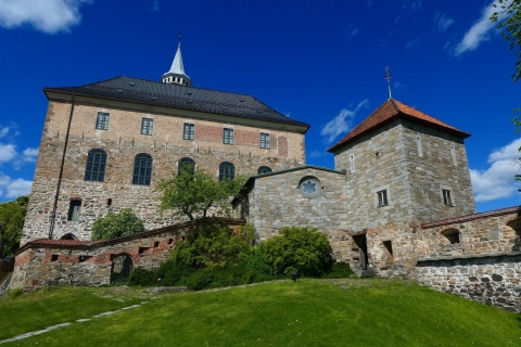 Oslo : Visite guidée au cœur d'OsloOption standard