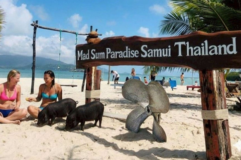 Koh Samui: Viewpoint, Elephant, Pig Island & Snorkel + Lunch Viewpoint, Elephant, Snorkeling, Pig Island+Lunch