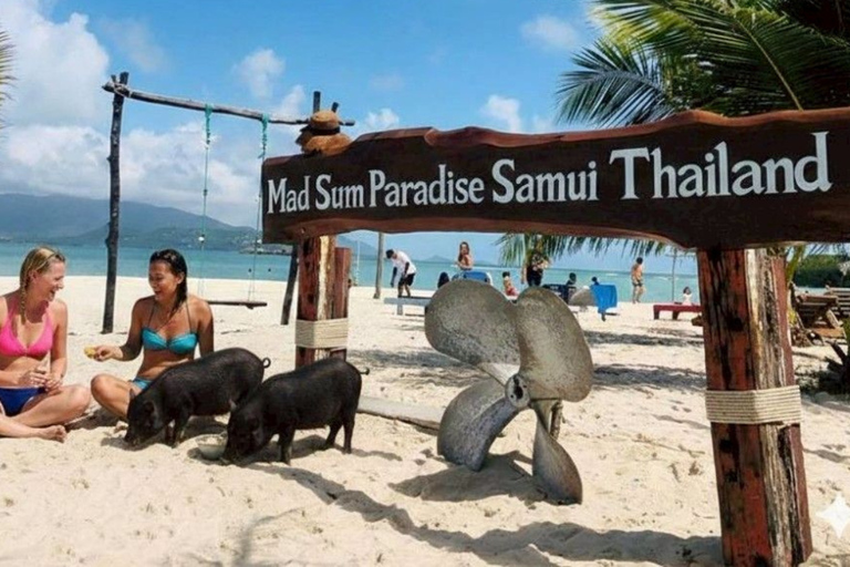 Koh Samui: Viewpoint, Elephant, Pig Island & Snorkel + Lunch Viewpoint, Elephant, Snorkeling, Pig Island+Lunch