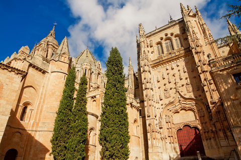 De Madri: Viagem de um dia para Ávila e Salamanca com visita guiadaExcursão Compartilhada