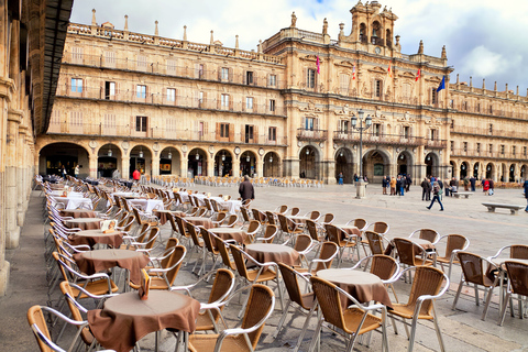 Från Madrid: Dagsutflykt till Ávila och Salamanca med guidad turDelad tur