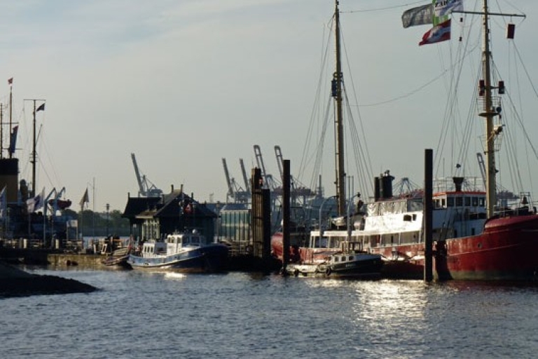 Hamburg: 2-godzinna wycieczka wzdłuż Łaby