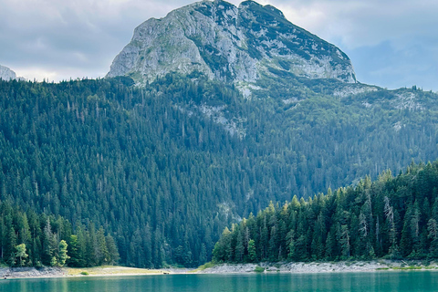 Von Kotor aus: Tagestour zum Durmitor-Nationalpark und zur Tarabrücke