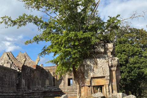 24-Day Cambodia Discovery: From Temple & Wildlife to Beaches