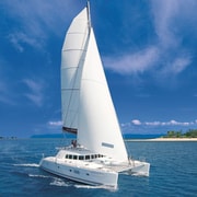 Port Douglas: Low Isles Afternoon Cruise on Luxury Catamaran