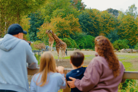 Dublin Zoo Entry Ticket: A Wild Experience with 400+ Animals Dublin Zoo: Entry Ticket