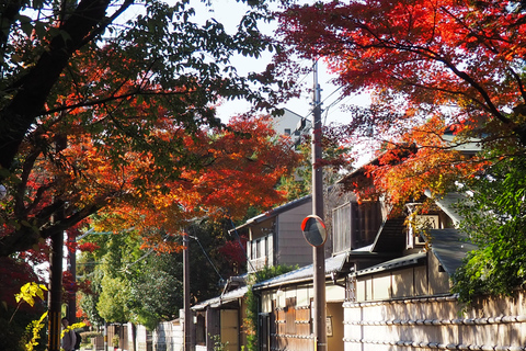 E-Bike Tour in Kyoto with Asuka, Japanese graduate student