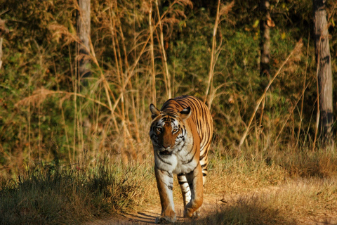 From Delhi: Luxury 9-Day Golden Triangle Tour of India Private Tour with 3-Star Accommodation & Return Flight