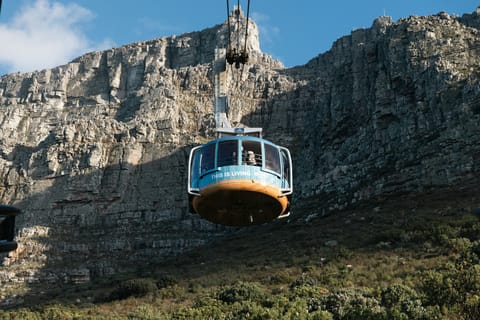 Cape Town: Table Mountain, Bo-Kaap & City Highlights Tour