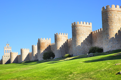 Depuis Madrid : Excursion d'une journée à Ávila et Salamanque avec visite guidée