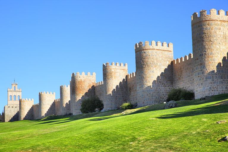 Da Madrid: Escursione di un giorno a Ávila e Salamanca con tour guidatoTour di gruppo