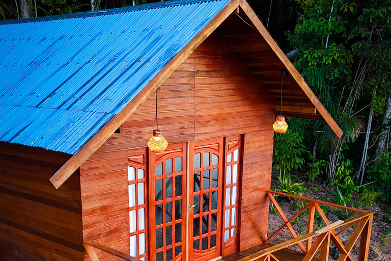 Presidente Figueiredo: Jungle Lodge Immersion in the Amazon (2–4 days) Full Jungle Lodge Experience in the Amazon (2 days and 1 night)