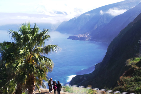 From Funchal: Porto Moniz Northern Wonders Full-Day 4x4 Tour