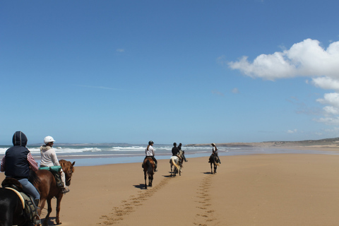 Essaouira: passeio a cavalo de dia inteiro com almoço