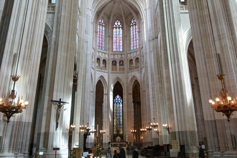 Nantes: 90-minute tour of St. Peter and St. Paul Cathedral with a professional guide