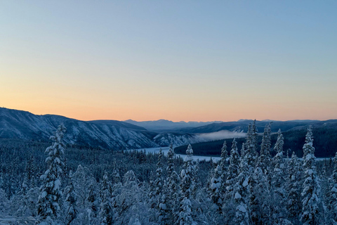 Fairbanks: Arctic Circle Tour with Northern Lights Hunt