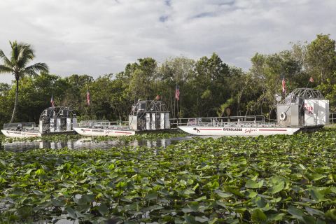 Vanuit Fort Lauderdale: dagsafari Everglades