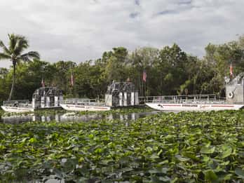 Ab Fort Lauderdale: Tagessafari in die Everglades Ab Fort Lauderdale: Tagessafari in die Everglades