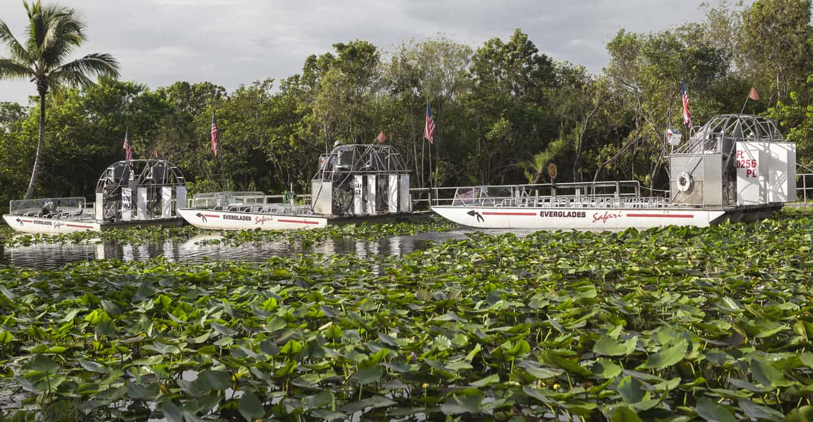 Everglades Day Safari from Fort Lauderdale | GetYourGuide