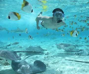Bora Bora: Eco Shark and Snorkeling Safari