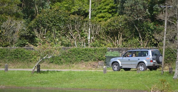Landausflüge ab Ponta Delgada