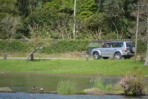 Excursiones en tierra desde Ponta Delgada