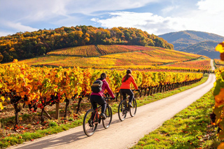 Fronsac Vineyards E-bike Tour + La Closerie de Fronsac Wine Tasting