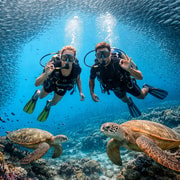 Cebu: Moalboal Sardine Run Scuba Dive & Turtle Snorkel Cebu: Moalboal Sardine Run Scuba Dive & Turtle Snorkel