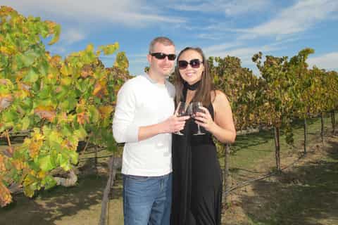 From San Francisco: Full-Day Sonoma Valley Wine Tour