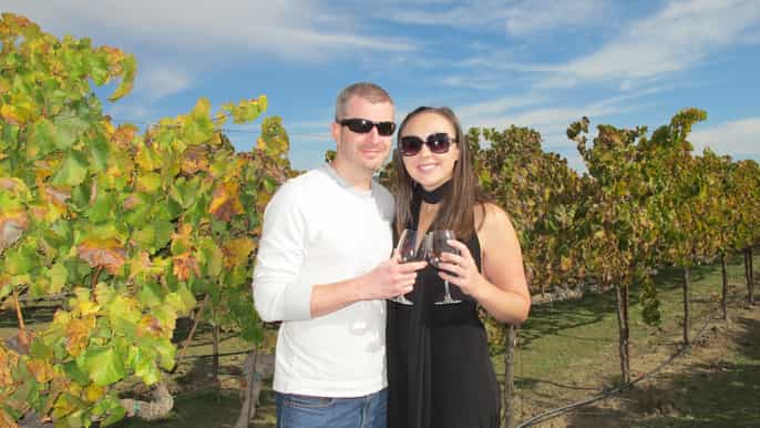 desde san francisco de día completo sonoma valley wine tour