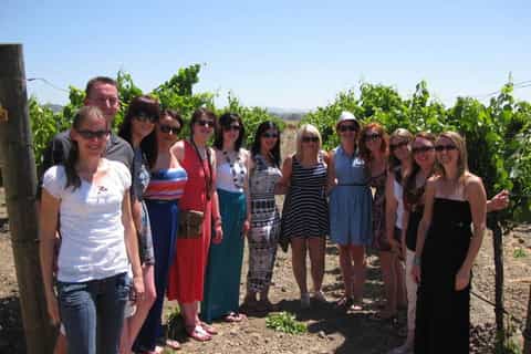fullday napa valley wine tour from san francisco