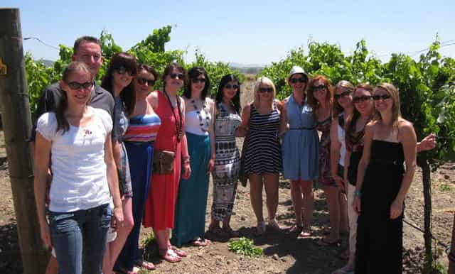 fullday napa valley wine tour from san francisco