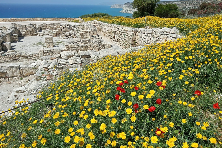 Explore the Wonders of Cyprus from Limassol Cruise Terminal