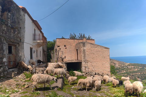 Crete Heraklion: 3.5 hrs Adventure & Authentic Villages Crete Heraklion: 3.5 hrs Authentic Cretan Adventure & visits