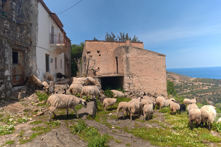 Crete Heraklion: 3.5 hrs Adventure & Authentic Villages Crete Heraklion: 3.5 hrs Authentic Cretan Adventure & visits
