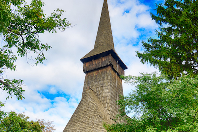 Bucharest City Tour met Village Museum