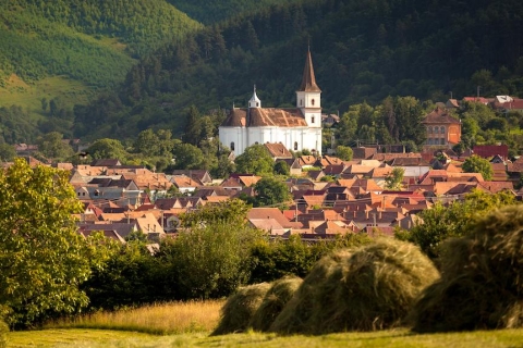 Private Day Trip to Sibiu from Bucharest