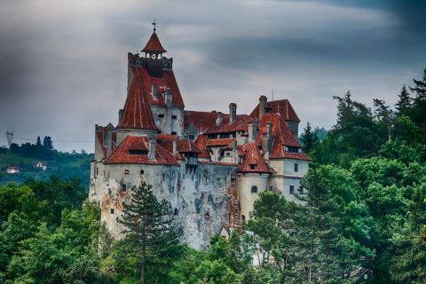 Bukarest: Tagesausflug zu Draculas Schloss, Peles und Brasov