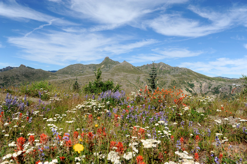 Seattle: Mt. St. Helens National Monument Small Group Tour Seattle: Mt St. Helens National Monument Small Group Tour