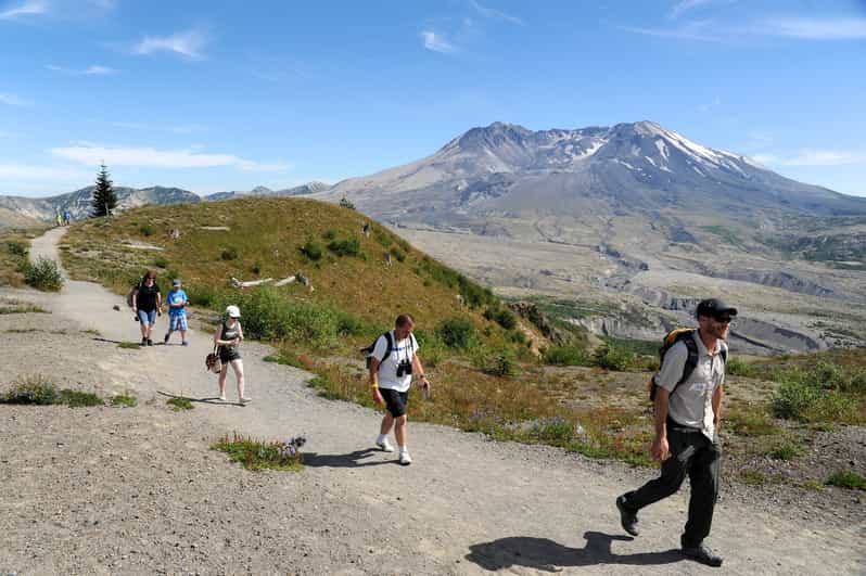 are dogs allowed in mt st helens national monument