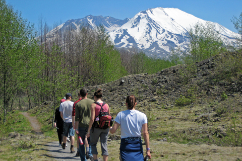 Seattle: Mt. St. Helens National Monument Small Group Tour Seattle: Mt St. Helens National Monument Small Group Tour