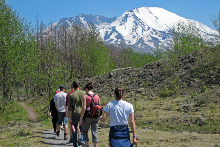 Seattle: Mt. St. Helens National Monument Small Group Tour Seattle: Mt St. Helens National Monument Small Group Tour