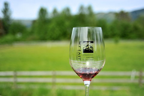 Portland: Columbia Gorge Wine and Waterfalls Day Tour Columbia Gorge Waterfalls & Wine