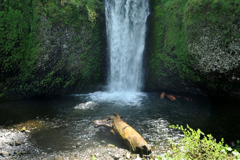 Portland: Columbia Gorge Wine and Waterfalls Day Tour Columbia Gorge Waterfalls & Wine