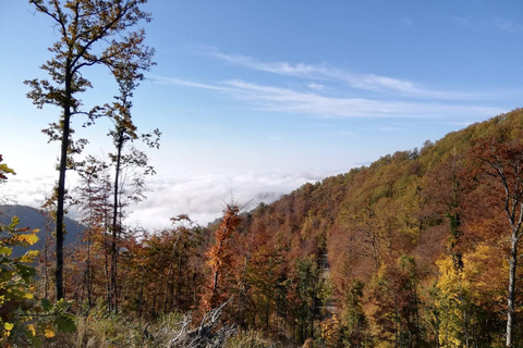 Zagreb: Guided Hike in Medvednica Nature Park