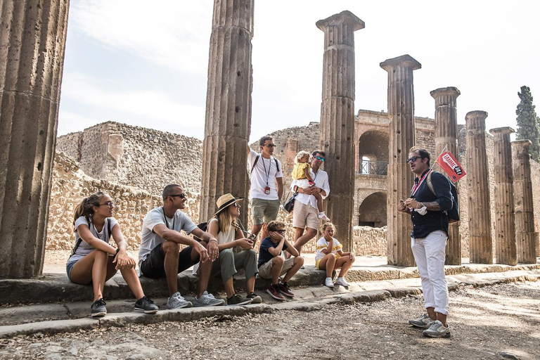 From Naples: Pompeii and Sorrento Guided Tour Tour in English