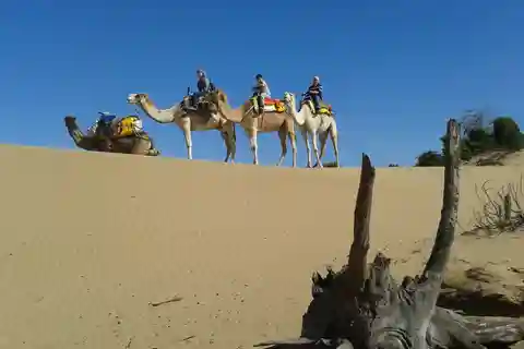 Ganztägiger Dromedar-Ritt in Essaouira